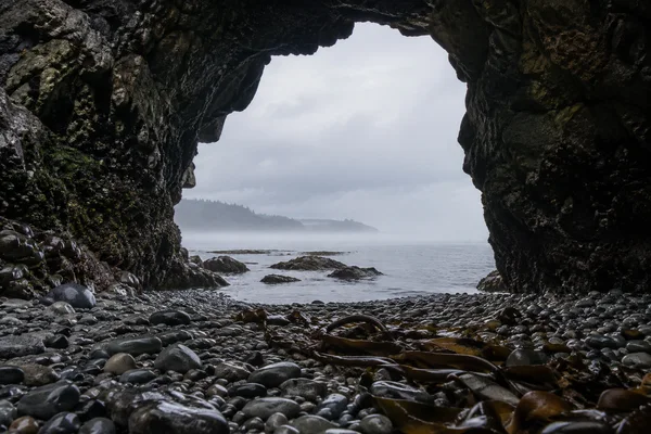 A low view across wet shingle and strands of kelp from inside a dark sea arch, looking out to a calm grey sea, mist and a faint distant headland beneath an…