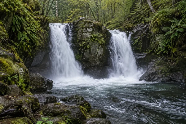 Two white waterfalls descend side by side over dark rock into a foaming pool in a wooded gorge, with mossy boulders and ferns in the foreground.