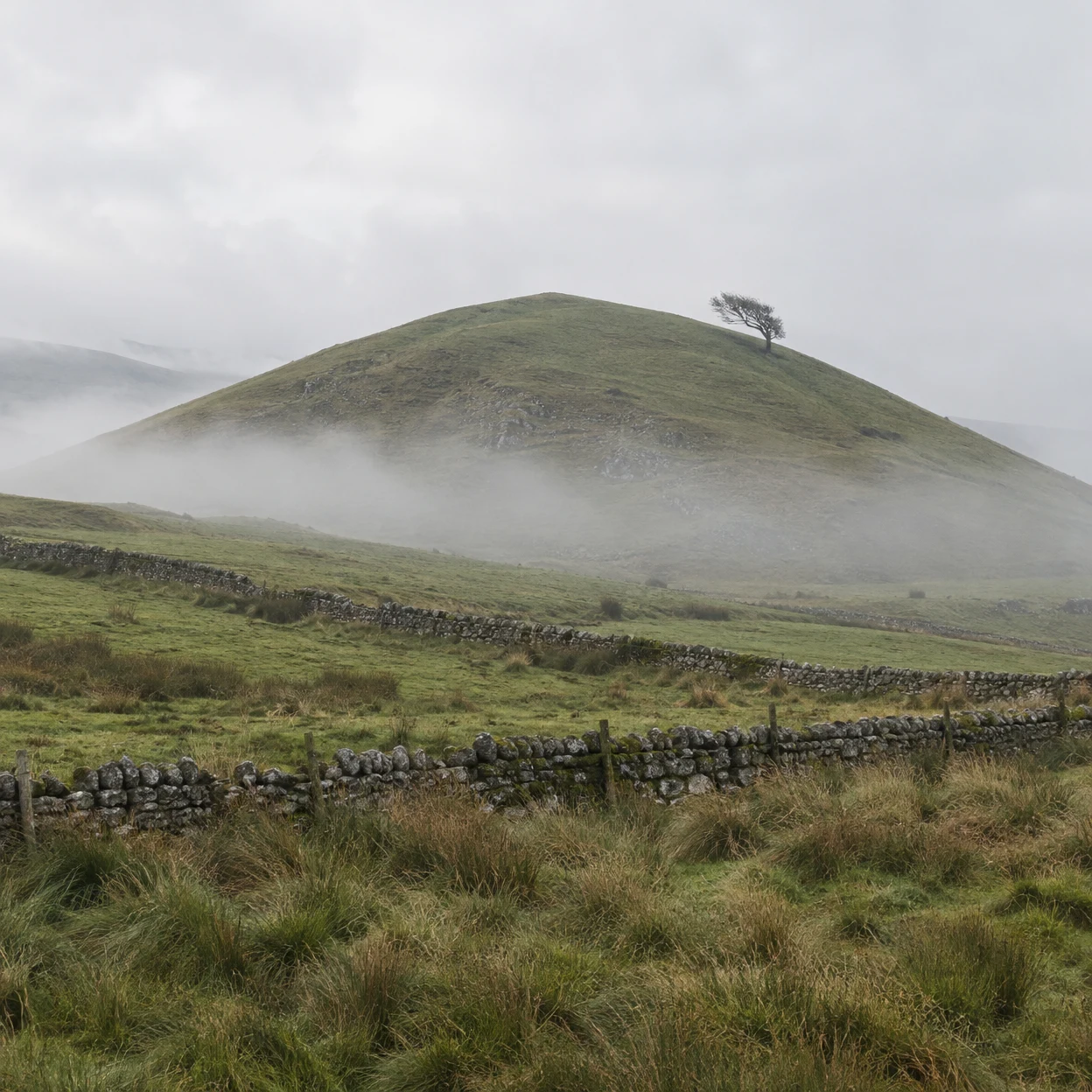A rounded grassy hill rises through low mist beneath a pale overcast sky, with a small wind-bent tree on its upper slope and dry-stone walls crossing the rough…