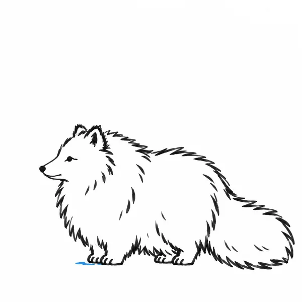 A hand-drawn black marker illustration of a fluffy, left-facing fox on a white background, with a small blue dash beneath its front paws.