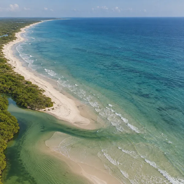 An aerial view of a pale sandy shoreline curving beside blue-green sea, with dense mangroves bordering a green estuary that wraps around a sand spit and opens…