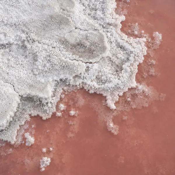Aerial close-up of a rough white salt-crust shelf bordered by still coral-pink brine, with granular crystals scattered along its scalloped edge.