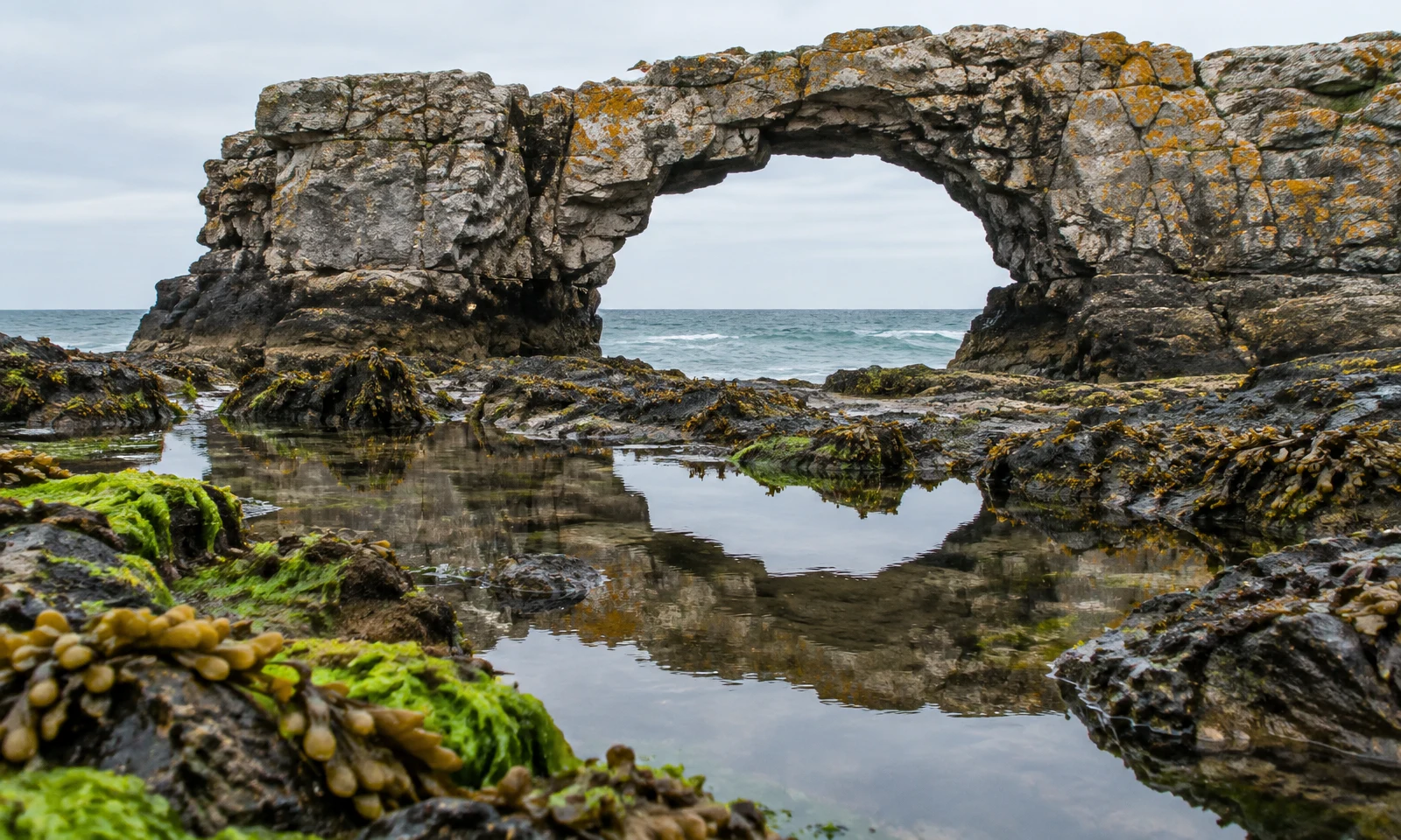 A broad limestone sea arch spans a rocky shore above a still tide pool, with wet rocks covered in green seaweed and golden-brown bladderwrack beneath a pale…