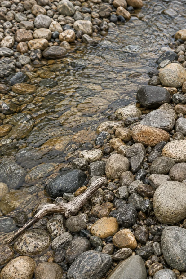 A shallow clear stream winds through rounded wet pebbles in ochre, cream, grey and slate, with a pale weathered branch lying across the stones in the…