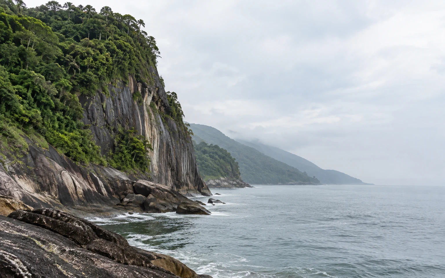 A steep, forest-crowned granite sea cliff with dark vertical streaks rises above boulders and small waves.