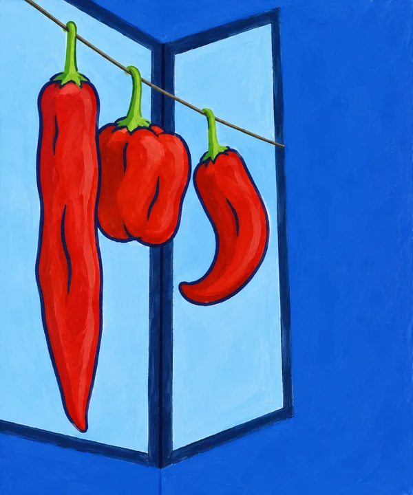 Three red peppers—one very long, one squat and broad, and one curved—hang from lime-green stems on a sloping cord in front of a corner window, with a…