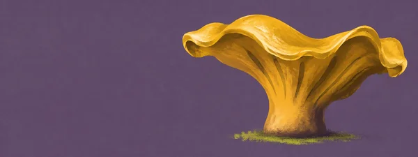 A large golden chanterelle with a wide, rippling funnel cap and short thick stem stands against a muted violet background, with a small lime-green patch…