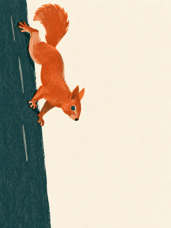 A rust-orange squirrel climbs headfirst down a dark teal tree trunk along the left side of a warm ivory background, with its bushy tail curled upward and open…