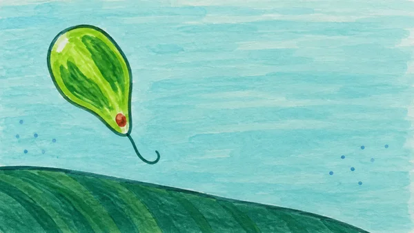 A lime-green pear-shaped microorganism with a rust-red eyespot and thin hooked tail floats above a broad dark-green pond leaf in pale aqua water, with blue…