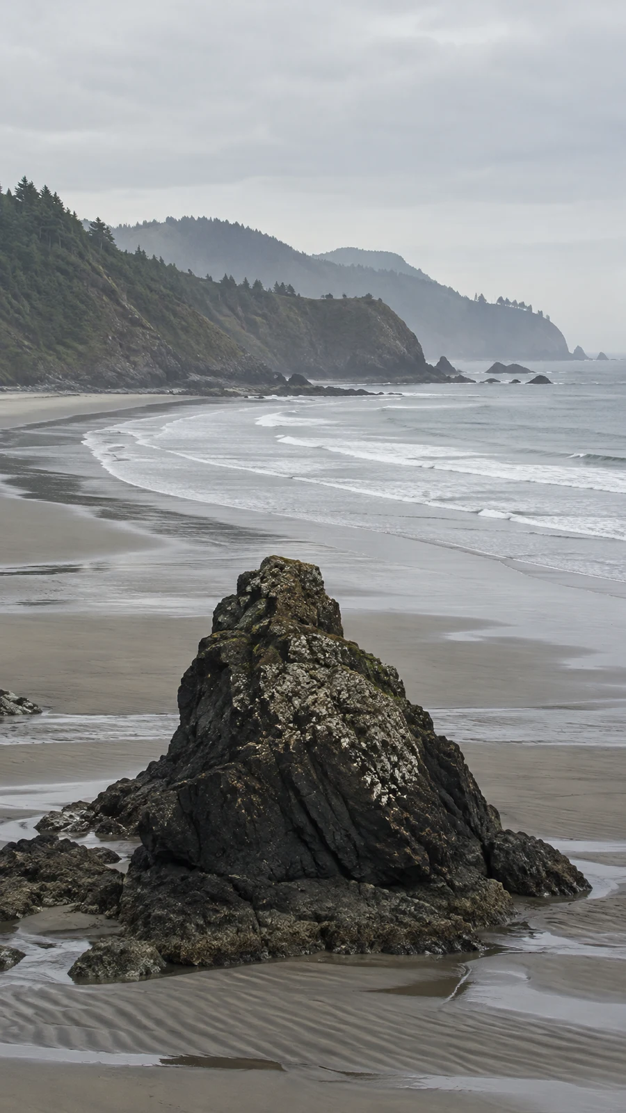 A large dark, barnacle-speckled rock rises from rippled wet sand in the foreground of a quiet crescent beach, with surf and forested headlands fading into grey…