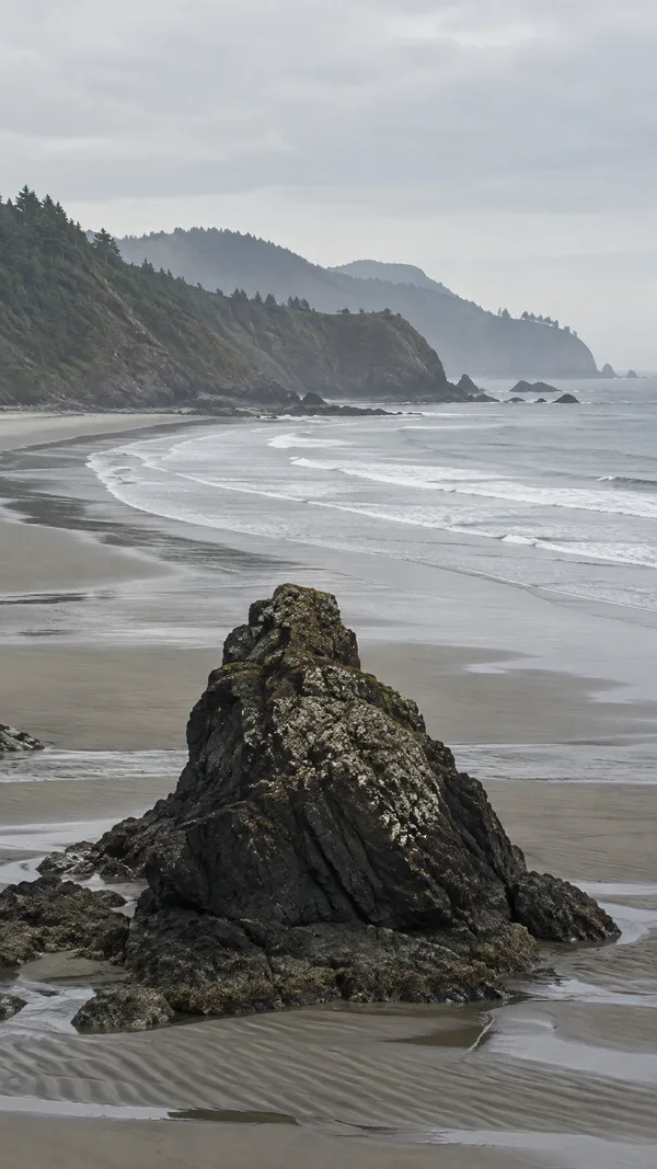 A large dark, barnacle-speckled rock rises from rippled wet sand in the foreground of a quiet crescent beach, with surf and forested headlands fading into grey…