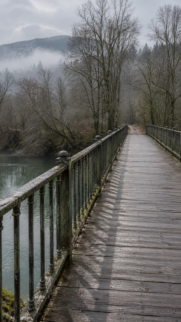 A damp timber pedestrian bridge with weathered iron railings crosses a grey-green river toward a path and bare trees in a misty, overcast landscape.
