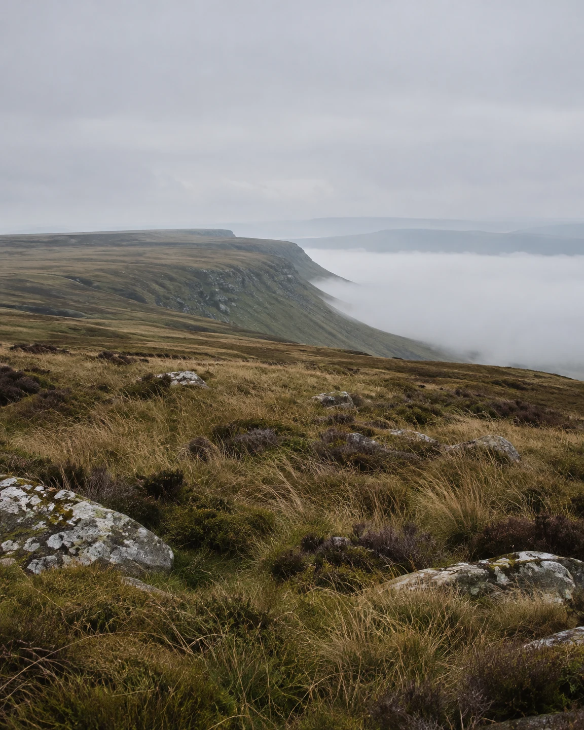 A tawny, olive-brown grassy plateau ends at a steep rim above a mist-filled valley, with pale lichen-speckled rocks and heather in the foreground, a faint…