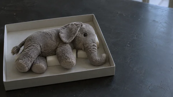 A worn grey plush elephant rests on ivory supports in a shallow pale tray on a charcoal worktable, with open tabletop extending to the right.