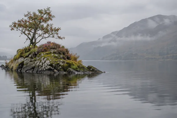 A small moss-covered rocky islet with a leaning rowan tree and sparse red berries sits on the left side of a calm grey lake.