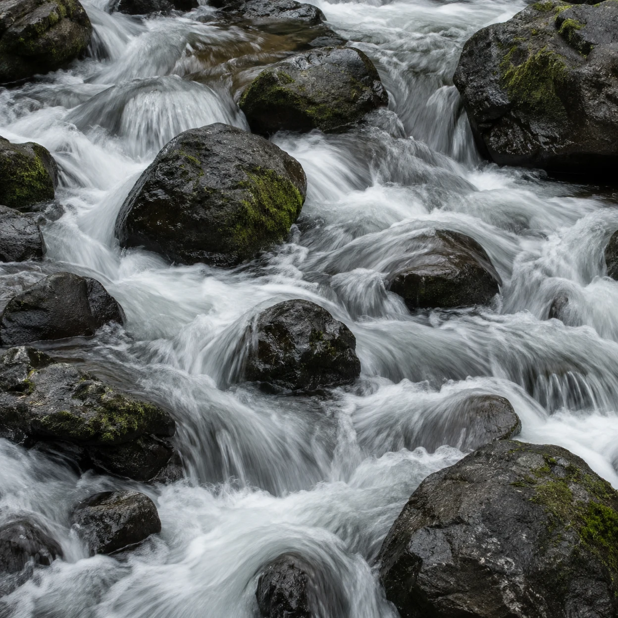 White water streams between dark, wet rounded boulders with small patches of green moss in a close view of river rapids.