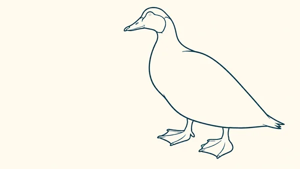 A large, unfilled dark teal line drawing of a standing duck-like bird, facing left with two broad webbed feet on a warm ivory background.