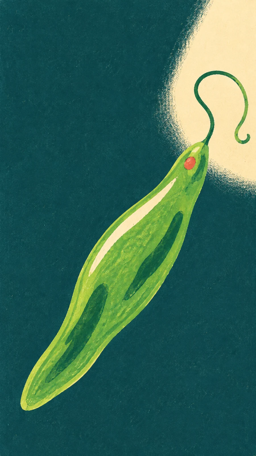 A bright green, elongated euglena angles across a deep teal background toward a warm cream patch of light.