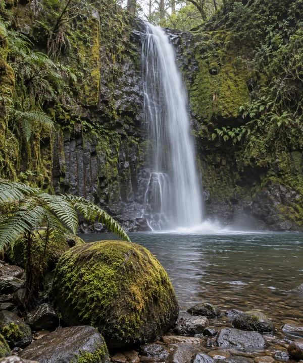 A narrow white waterfall drops down a dark rocky gorge into a clear pool, with a large moss-covered boulder and arching fern fronds in the foreground.
