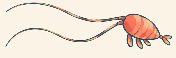 A coral-colored, segmented planktonic copepod floats on a warm cream background, with two long teal-outlined antennae curling across the open space to the left…