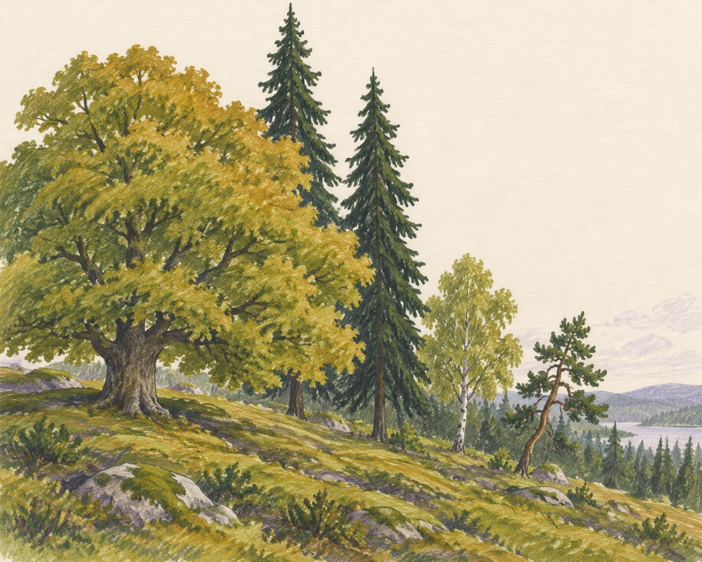 A large golden-green broadleaf tree and two tall dark conifers stand on a sloping mossy hillside, with smaller trees, rocks and distant mountains beside a lake…