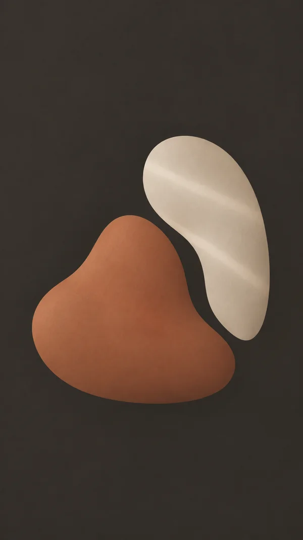 Two smooth organic forms—a broad terracotta shape at lower left and an elongated bone-white shape at upper right—nearly nest around an open charcoal gap…