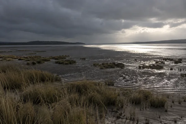 A wide estuary flat of rippled wet sand and scattered pale reeds beneath heavy grey clouds, with dark cloud shadow over the foreground and bright silvery tidal…