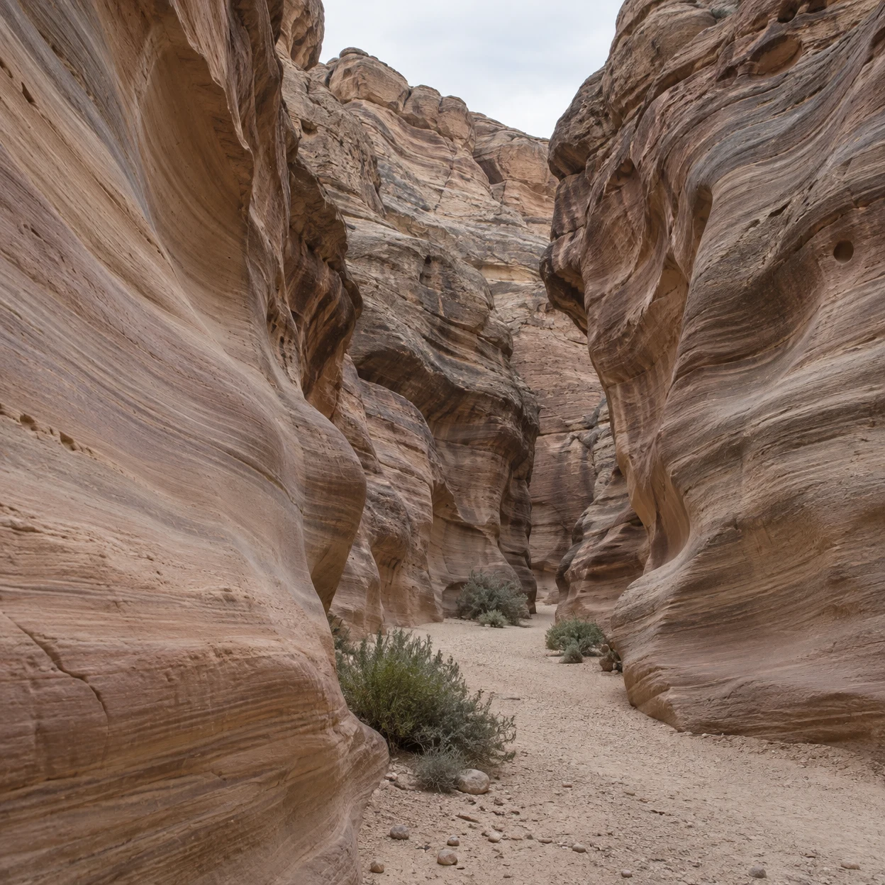 A narrow sandstone canyon with smooth, banded walls curving around a dry sandy floor dotted with small shrubs, viewed toward a softly shadowed bend beneath an…