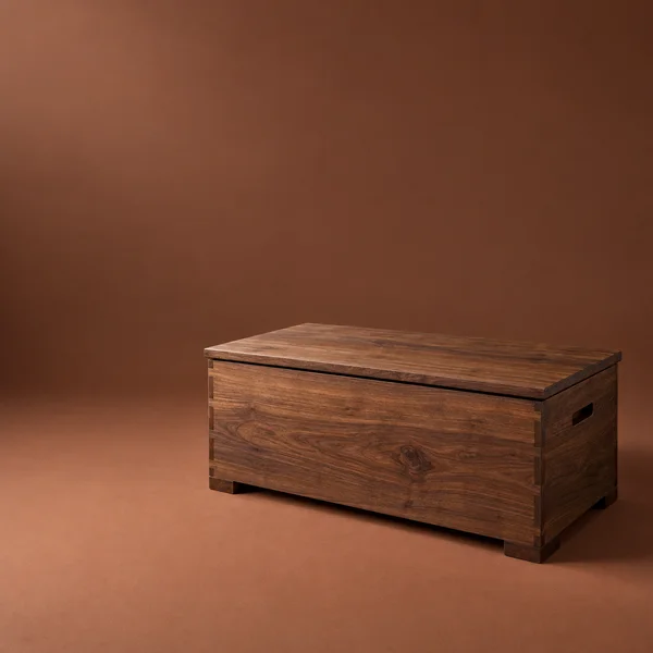 A low rectangular walnut chest with a closed overhanging lid, recessed side handhold and short feet sits on a muted russet studio floor against a matching…
