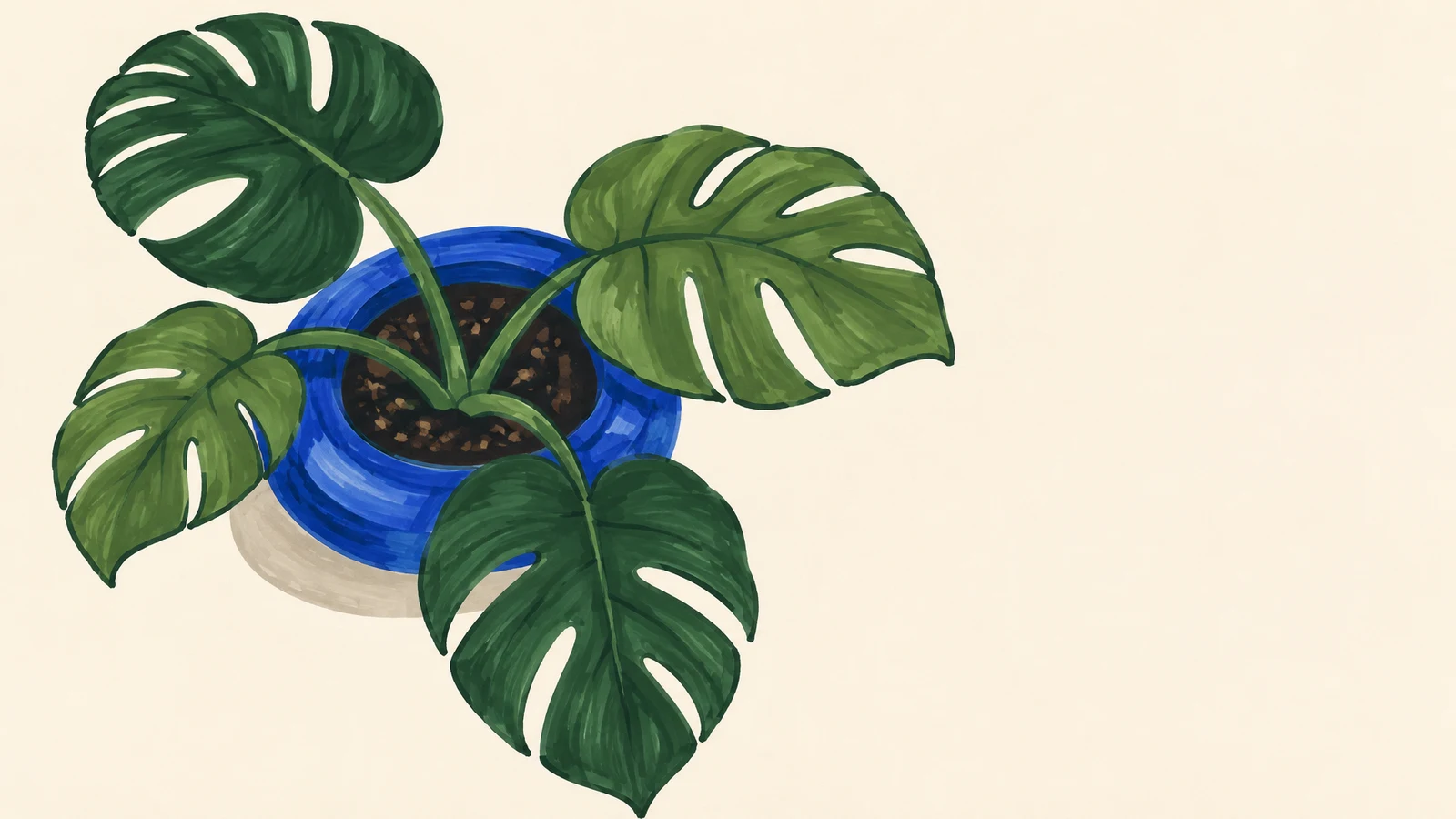 An overhead marker-style illustration of a four-leaf monstera in a cobalt-blue planter on a warm ivory background, with open space to the right.