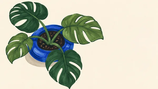 An overhead marker-style illustration of a four-leaf monstera in a cobalt-blue planter on a warm ivory background, with open space to the right.