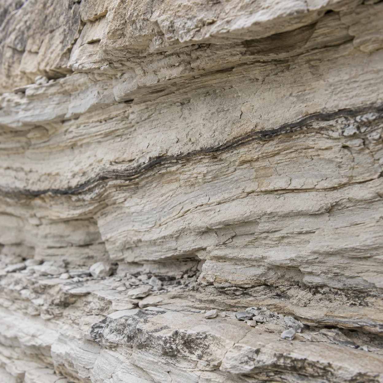 Close view of pale, weathered limestone with layered diagonal bands, a dark irregular seam crossing the rock, and small stone fragments on a ledge below.