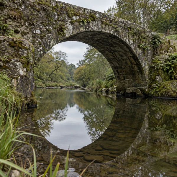 A weathered stone bridge covered with moss and small ferns spans a calm river, with its arch reflected in the water among reflections of trees; reeds and…