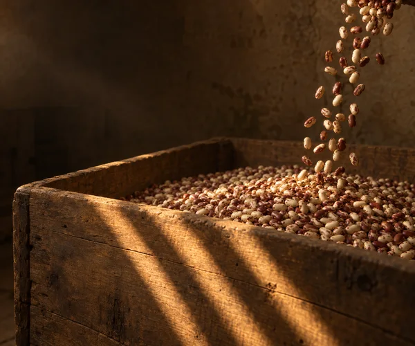 A thick, rough wooden chest filled with cream-and-russet beans sits in a dim brown interior as a stream of beans falls into the mound from the upper right.