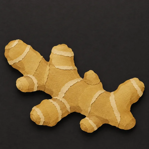 A large golden-ochre paper-cut ginger rhizome lies diagonally on a charcoal textured background, with cream strips marking its knobby sections.