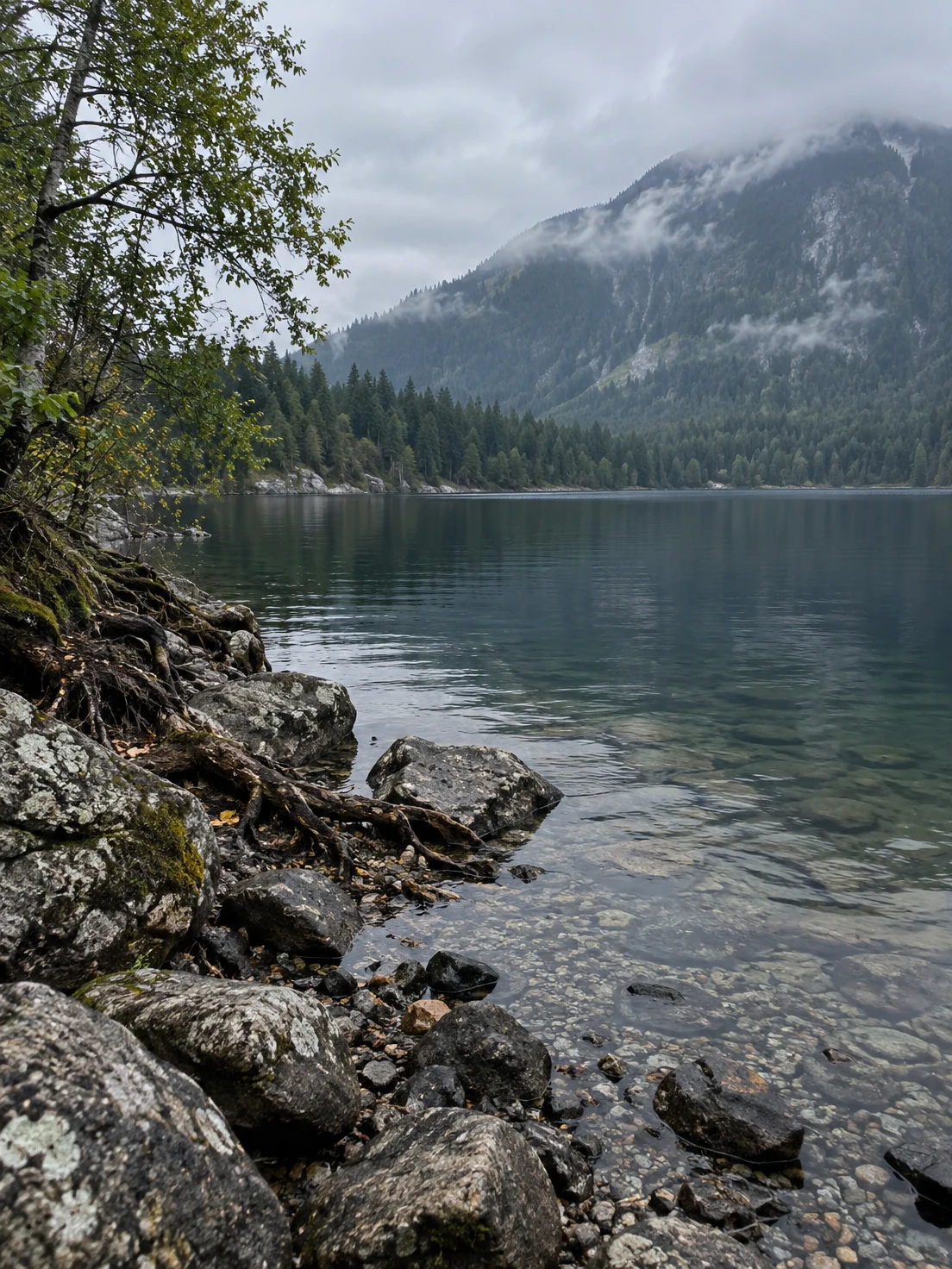 A low view across a rocky lake shore, with lichen-covered stones and exposed tree roots in the foreground, clear shallows, dark rippled water, conifers and a…