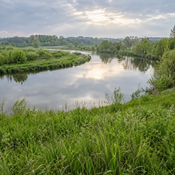A calm river bend curves through a green floodplain, reflecting a bright break in the cloudy sky.