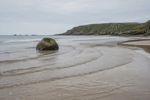 A round, weed-topped boulder sits in shallow water on a broad sandy bay, with curved ripple lines across the wet foreground and a rocky green headland beneath…