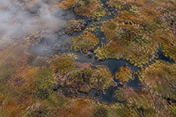 Aerial view of dark pools winding between rust, ochre and olive peat-moor vegetation, with low mist drifting across the upper-left corner.