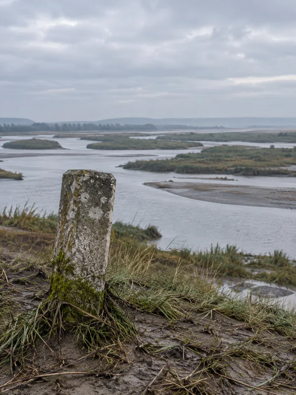 A weathered, lichen-stained concrete post stands in muddy, grass-covered ground beside a broad river delta, with braided channels and low reed islands beneath…