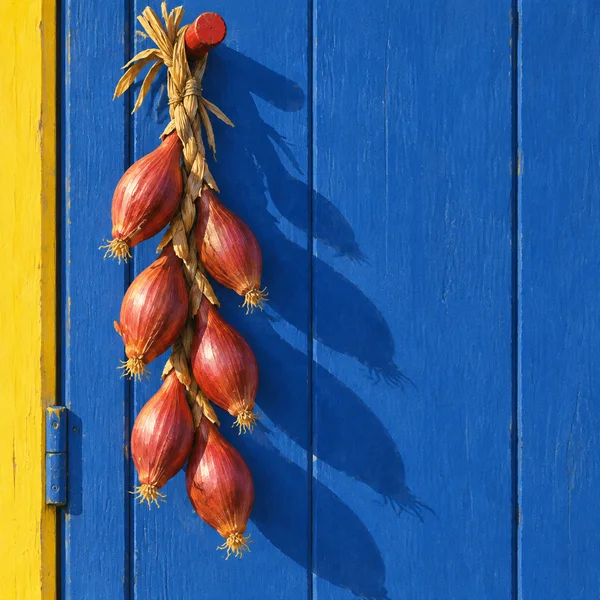 Six copper-red shallots with straw-coloured leaves hang in a braid from a red peg on a cobalt-blue wooden door.