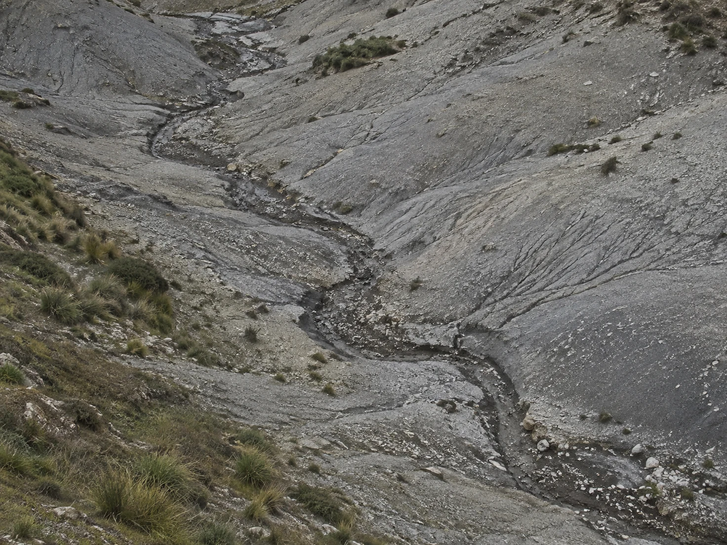 A dark sinuous erosion channel cuts diagonally across a pale grey shale and gravel hillside, with smaller rills and sparse olive grass along its edges.