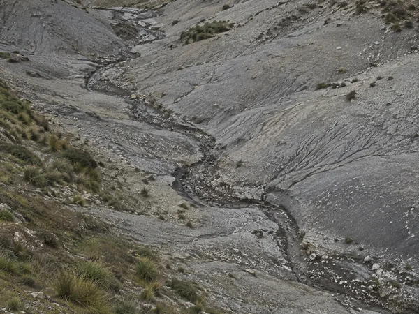 A dark sinuous erosion channel cuts diagonally across a pale grey shale and gravel hillside, with smaller rills and sparse olive grass along its edges.
