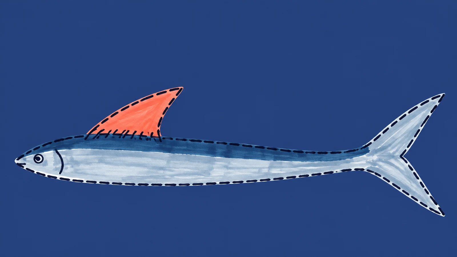 A long silver-blue fish stretches across the lower half of a dark blue background, with a large coral dorsal fin, a forked tail, and dark dashed contours.