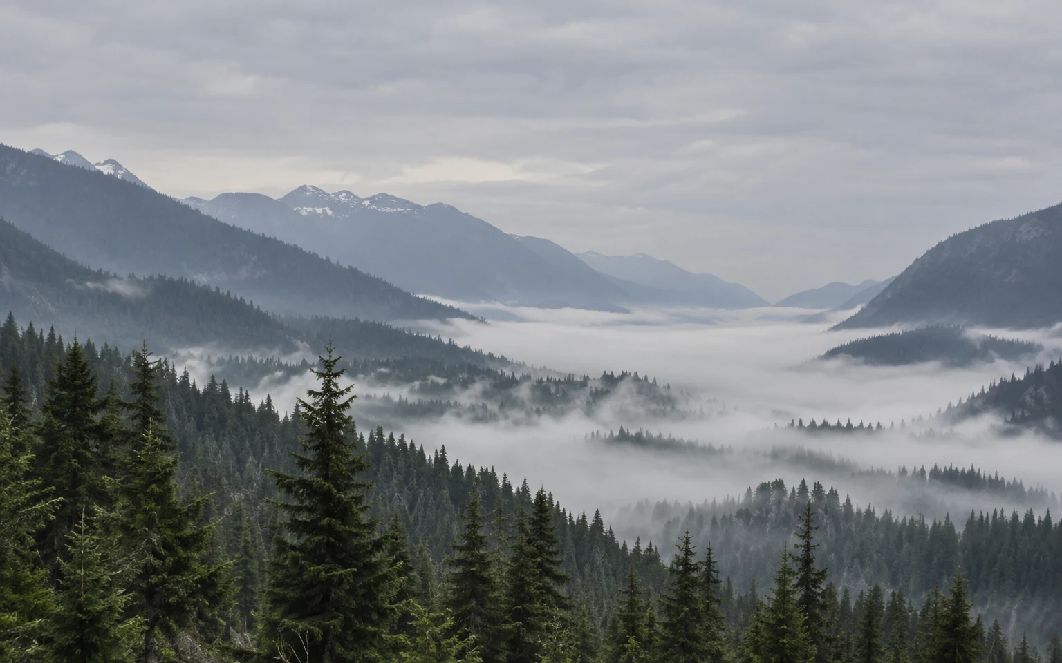 A conifer-covered mountain valley recedes through layered ridgelines and low white mist beneath a broad overcast sky; a few snowy patches mark the distant…