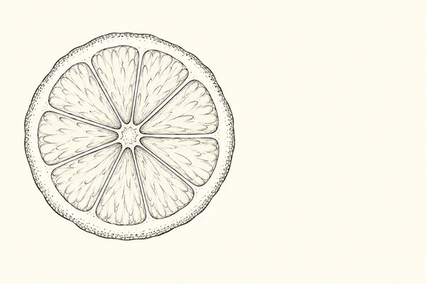 A large, hand-drawn black-ink lemon cross-section sits left of center on a warm ivory background, with nine pale segments and open space to the right.