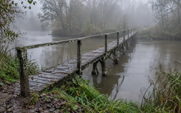 A narrow, weathered timber footbridge with a single handrail crosses a brown-green river diagonally into pale mist, bordered by wet reeds and trees.