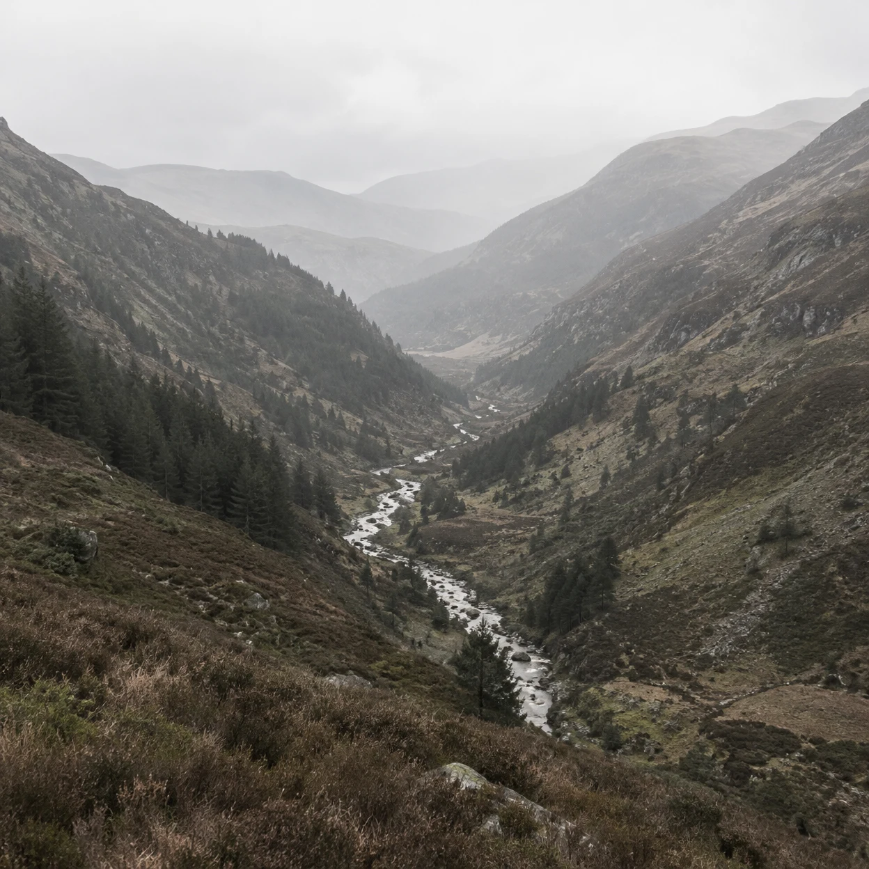 A narrow pale stream winds through a steep, rocky valley covered with dark conifers and muted brown-green vegetation, beneath layered ridgelines fading into a…