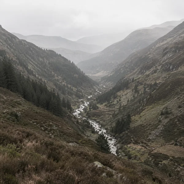 A narrow pale stream winds through a steep, rocky valley covered with dark conifers and muted brown-green vegetation, beneath layered ridgelines fading into a…