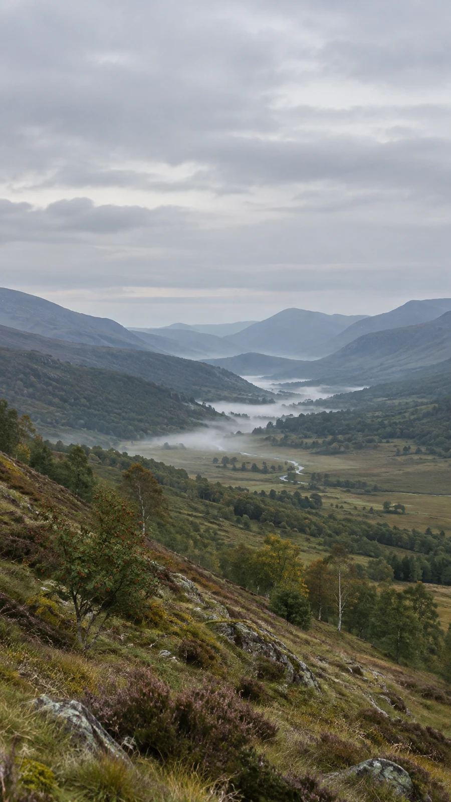 An elevated view down a broad upland valley, with low mist along the floor and a narrow stream winding through it.